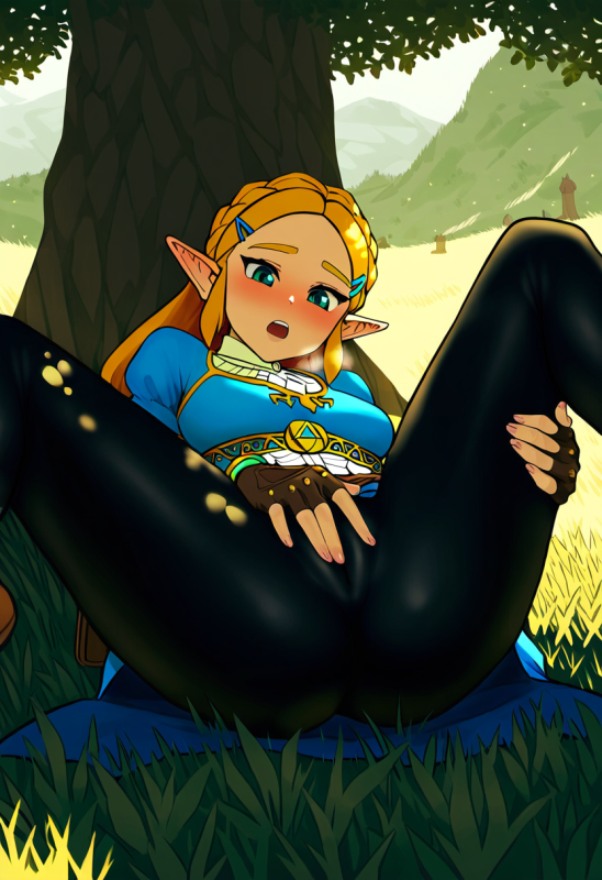 princess zelda,zelda (breath of the wild)